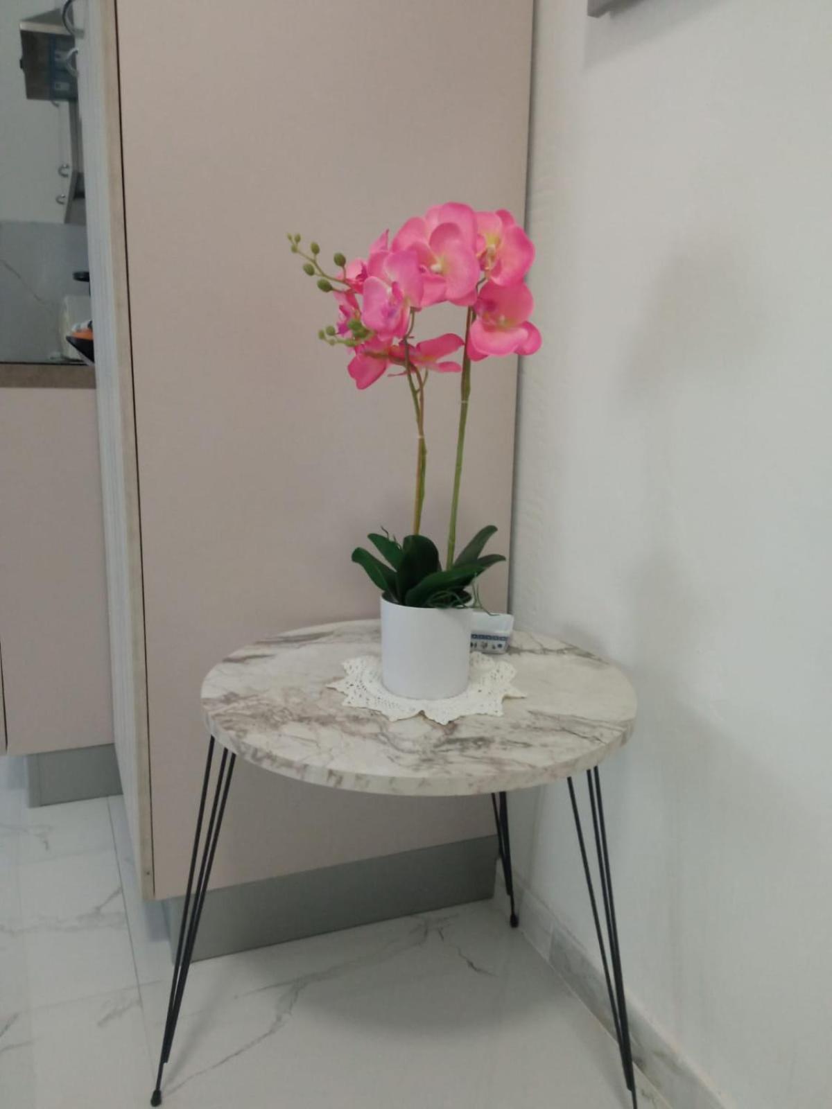 Wh - Dolce Vita - Bilocale - 5 Minuti Dal Centro - Parcheggio Gratuito - Wifi ซานเรโม ภายนอก รูปภาพ